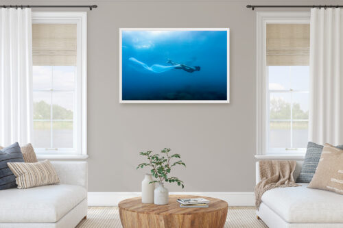 Framed underwater photography art portrait on the wall in a living room